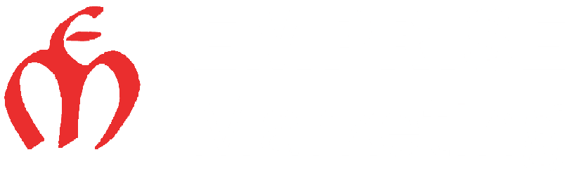Emprise logo